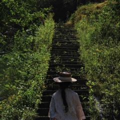 LING BEI YUE LIANG WAN SHAN ZHUANG LING BEI SHAN ZHUANG User Photo
