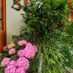 爱屋冰甜&吉屋料理 User Photo