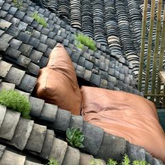 王啡張用戶圖片