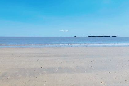 海天阁(成山大道东段店)