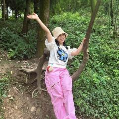 柒月麓山 여행 사진