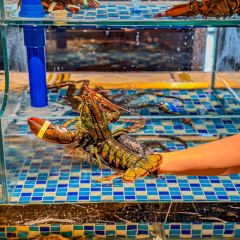 臻紮實·海鮮火鍋·懷舊粵菜張用戶圖片