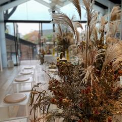 篽箖·上野書屋張用戶圖片