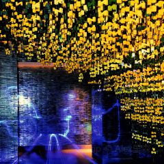 SKY59 ROOFTOP BAR User Photo