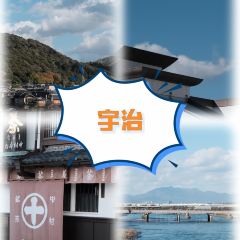 Irori Beniya User Photo