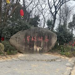根建冷饮油炸 User Photo