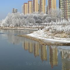 金秋鱼餐馆 User Photo