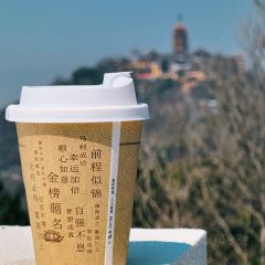 狼山紫琅素面 User Photo