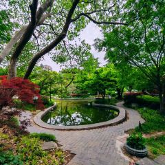 Xin Yuan Lou ảnh của người dùng