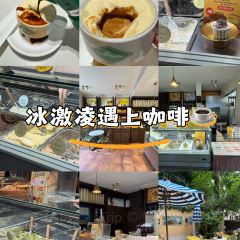 boheng 55 User Photo