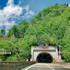 秦岭服务区-餐厅 User Photo