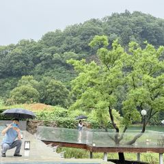 思无邪·逍遥游·餐厅 User Photo