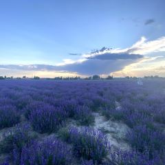 常相聚农家乐 User Photo