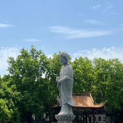 A MI DA PAI DANG User Photo