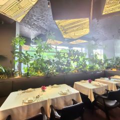 BIANCHI PLUS白安其(环球金融中心店) User Photo