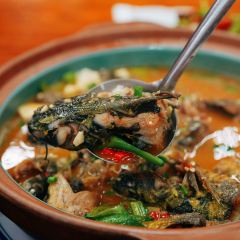 LAO MA CAI User Photo
