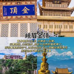 LAO NIU JIN User Photo