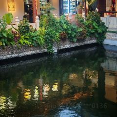 杨家花园(红井街店) User Photo