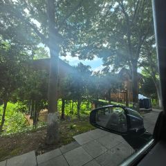 中南百草园小吃街 User Photo