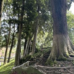秦艺挞挞面 User Photo