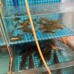 XIAO SONG SEAFOOD 여행 사진