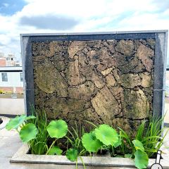 东风庄园红酒庄主题餐厅 User Photo