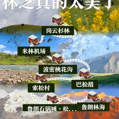 鲁朗石锅城·松茸天麻石锅鸡 User Photo