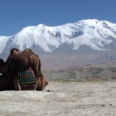 慕云营地(喀拉库勒湖店)·潮汕汤米粉 User Photo