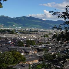 Amandayan Tea House Bistro User Photo