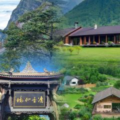 Dongmendoufunao User Photo