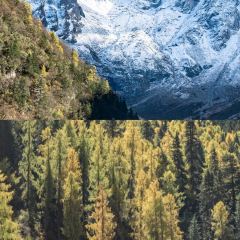 ZA QI ZA BA NIU ZA TANG GUO User Photo