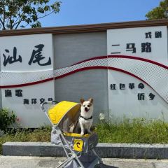 H.Z YINGXI PALACE User Photo