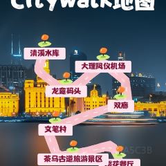 丽江飞鸟民谣酒吧(束河店) 여행 사진