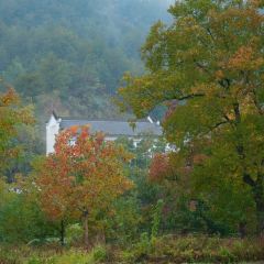 Sage Hall Homestay User Photo