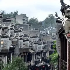 Tang you ba ba User Photo