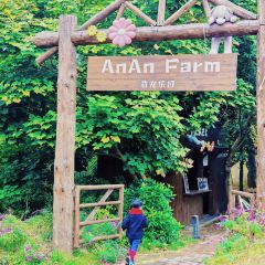 简阳三岔湖长岛天堂洲际酒店·龙轩中餐厅 User Photo