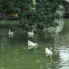 ZHUA FAN YU JIAN NANG KEN ROU User Photo