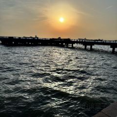 ZHUA FAN YU JIAN NANG KEN ROU User Photo