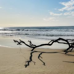 Bruny Island Gateway User Photo