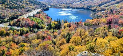 Artist's Bluff Lookout