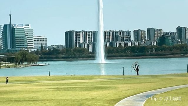 Smart New City Lawn Park