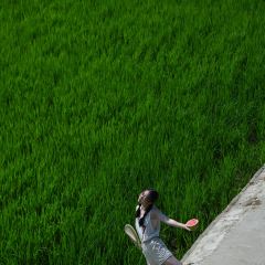 姐妹小吃(广场路店) 여행 사진