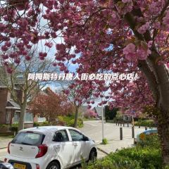 IJssalon Tofani User Photo