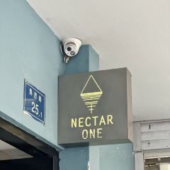 Nectar one User Photo