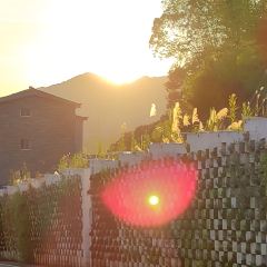 岭边亭·乐百味星空屋 User Photo
