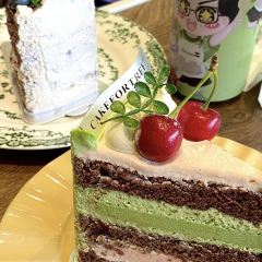 树先生蛋糕店(中联大厦店) User Photo