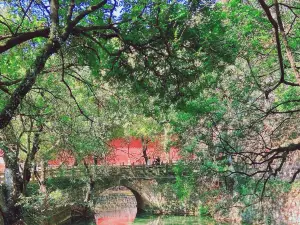 Yunnan Yuxi Jiulongchi Park