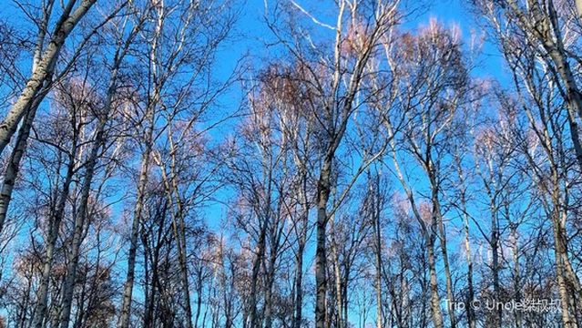 47 Degrees North Latitude Forest Oxygen Bar