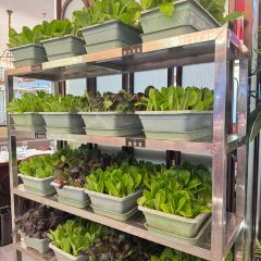 鼎尚养生火锅店 User Photo