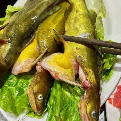 醉响恰烤肉(吉联MALL店) User Photo
